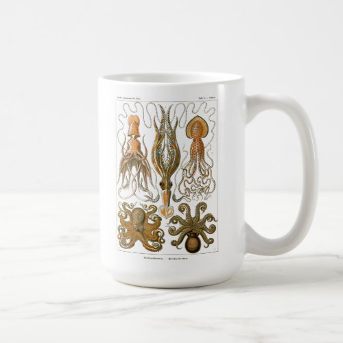 Ernst Haeckel Gamochonia Octopus Squid Coffee Mug