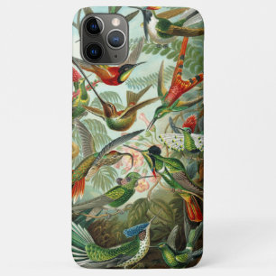 Ernst Haeckel Gorgeous vibrant Hummingbirds iPhone 11 Pro Max Case