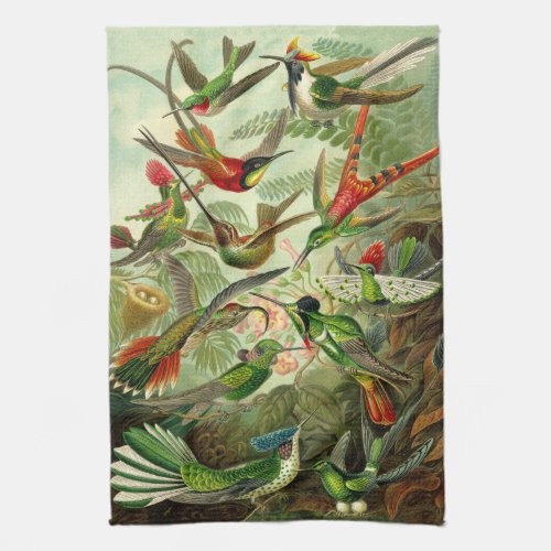 Ernst Haeckel Hummingbird Illustration Towel