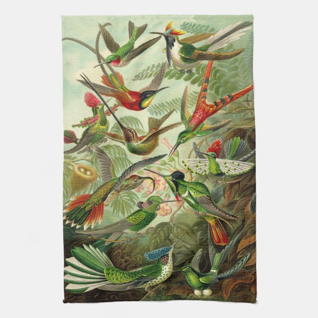 Ernst Haeckel Hummingbird Illustration Towel (Vertical)