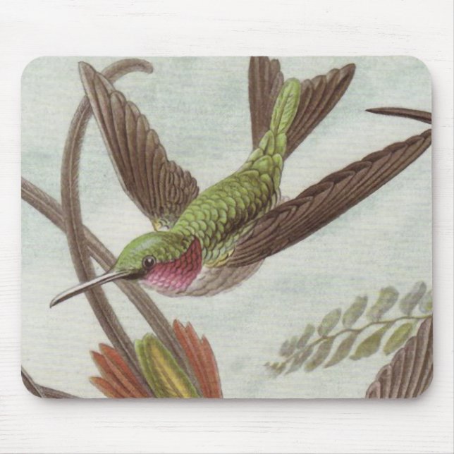 Ernst Haeckel Hummingbird Mouse Pad (Front)