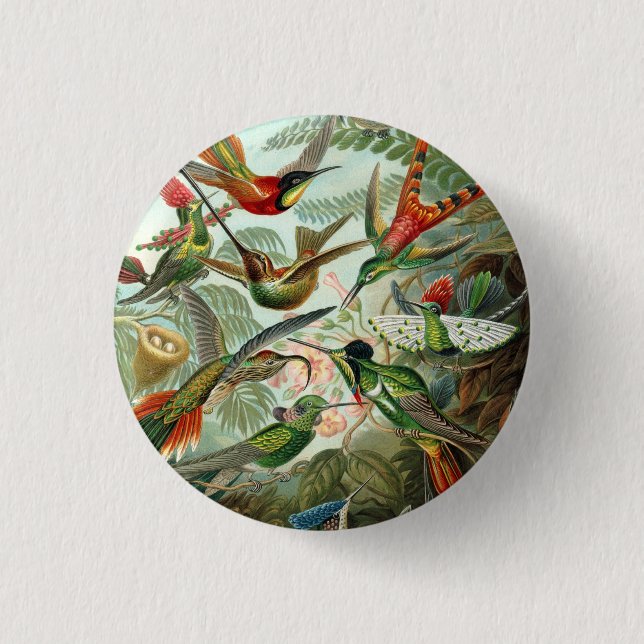 Ernst Haeckel Hummingbirds - Art Forms of Nature Button (Front)
