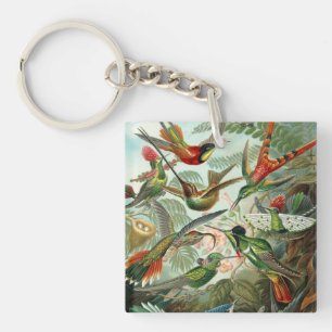 Ernst Haeckel Hummingbirds - Art Forms of Nature Keychain