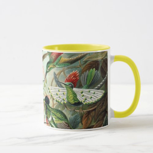 Ernst Haeckel Hummingbirds _ Art Forms of Nature Mug