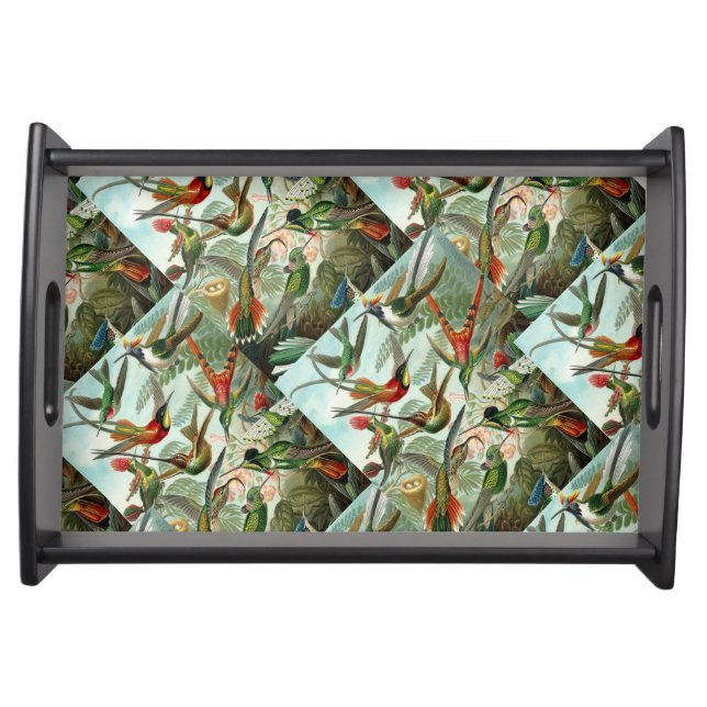 Ernst Haeckel Hummingbirds - Art Forms of Nature Serving Tray (Front)