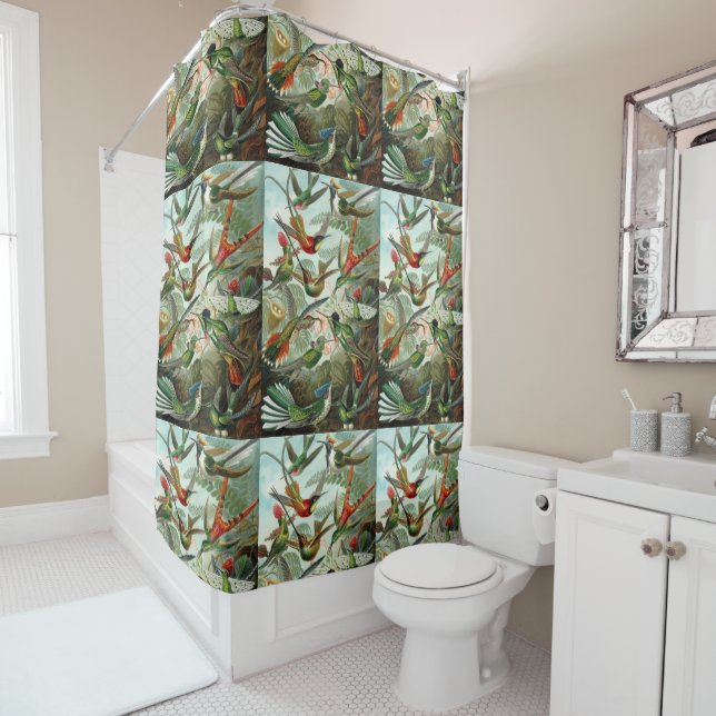 Ernst Haeckel Hummingbirds - Art Forms of Nature Shower Curtain (In Situ)