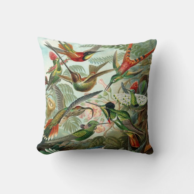 Ernst Haeckel ~ Hummingbirds Cushions (Front)