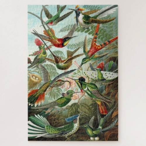 Ernst Haeckel Hummingbirds Vintage Bird Chart Jigsaw Puzzle