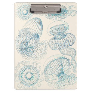 Ernst Haeckel Jellyfish Vintage Science Art Clipboard