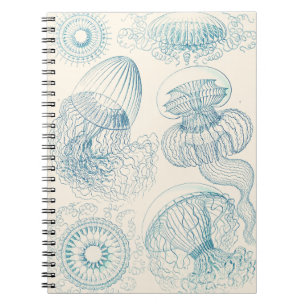 Ernst Haeckel Jellyfish Vintage Science Art Notebook