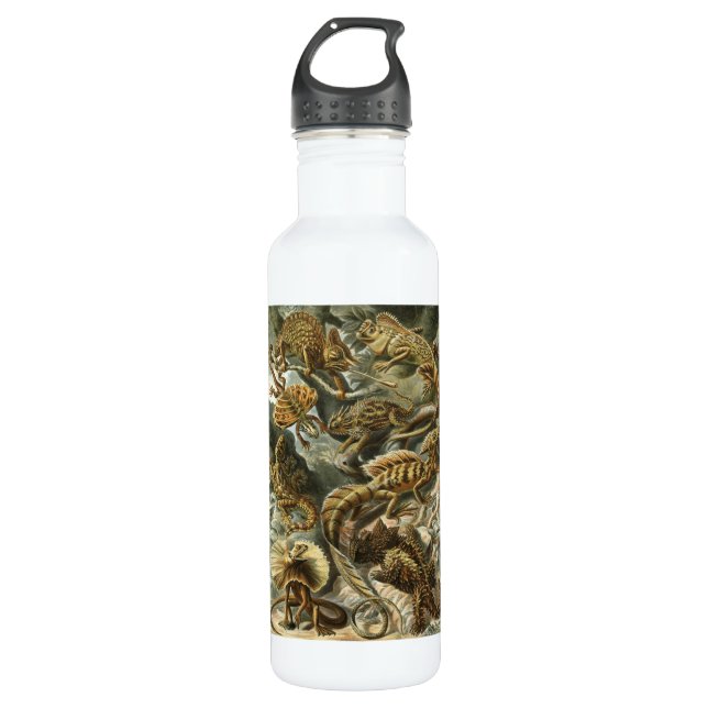 Ernst Haeckel - Lacertilia Stainless Steel Water Bottle (Front)