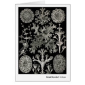 Ernst Haeckel Lichens (Front)