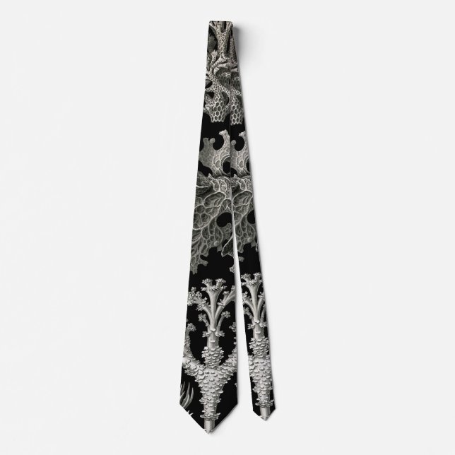 Ernst Haeckel Lichens Tie (Front)