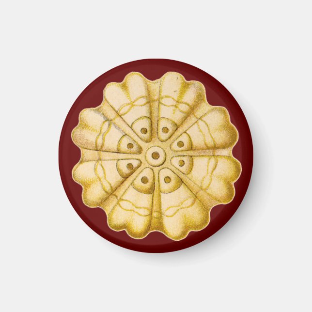 Ernst Haeckel Magnet (Front)