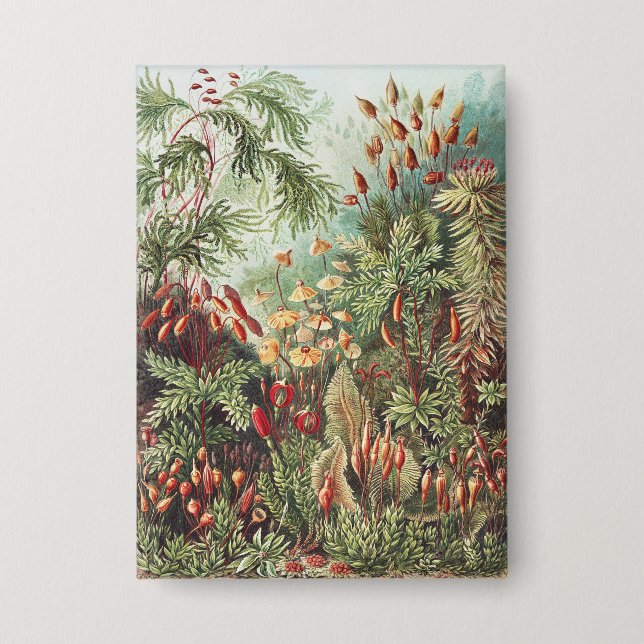 Ernst Haeckel Moss Nature Print Dark Academia Button (Front)