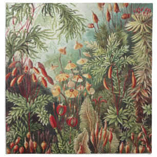 Ernst Haeckel Moss Nature Print Dark Academia Cloth Napkin