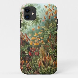 Ernst Haeckel - Muscinae iPhone 11 Case