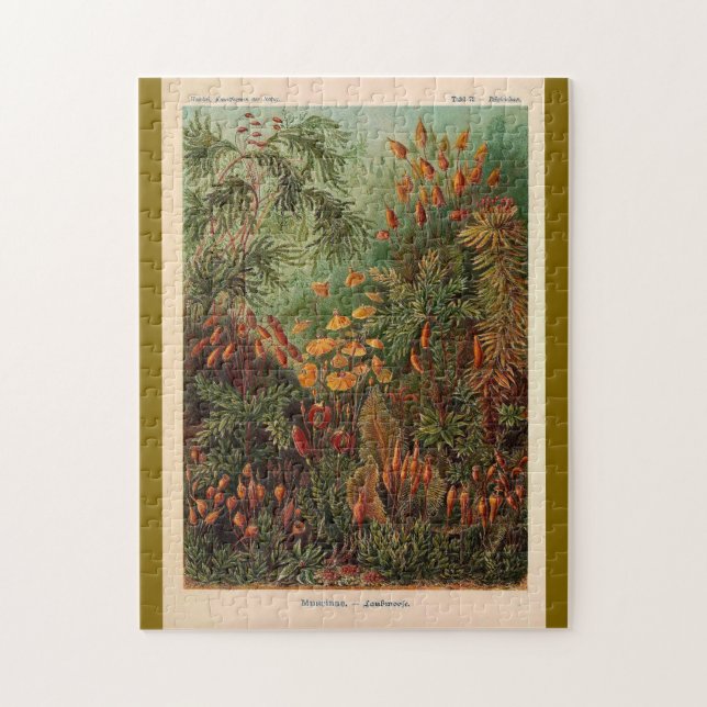 Ernst Haeckel Muscinae vintage illustration Jigsaw Puzzle (Vertical)