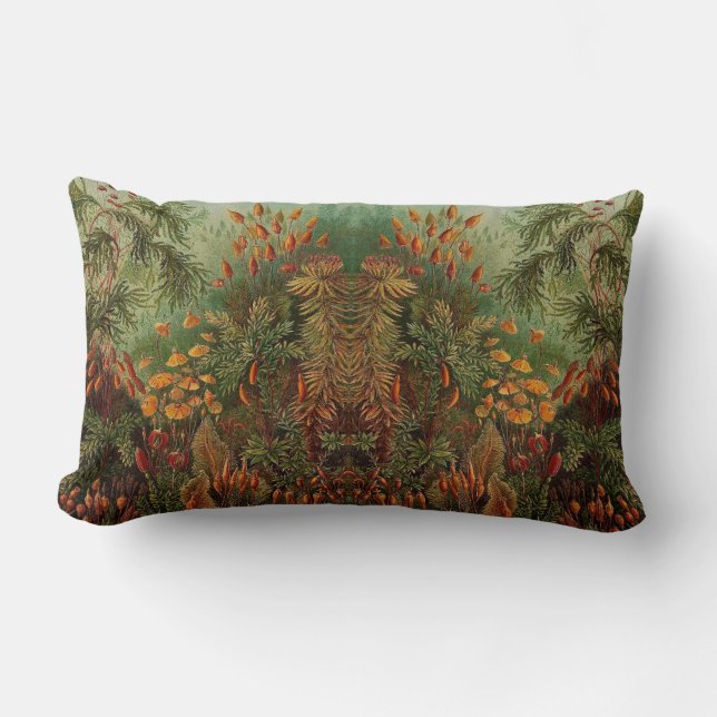 Ernst Haeckel Muscinae vintage illustration Lumbar Pillow (Front)