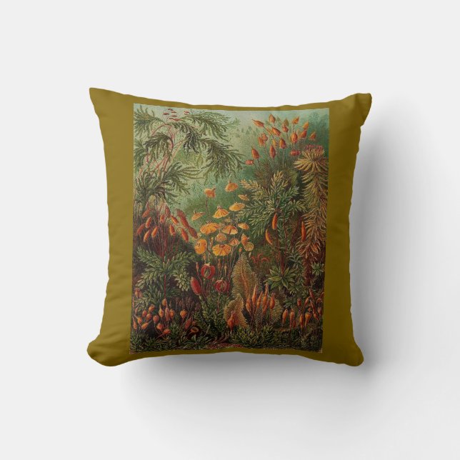 Ernst Haeckel Muscinae vintage illustration Throw Pillow (Front)