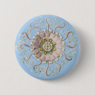 Ernst Haeckel Nautical Pink Jellyfish Medusa Button