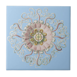 Ernst Haeckel Nautical Pink Jellyfish Medusa Ceramic Tile