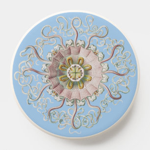 Ernst Haeckel Nautical Pink Jellyfish Medusa PopSocket