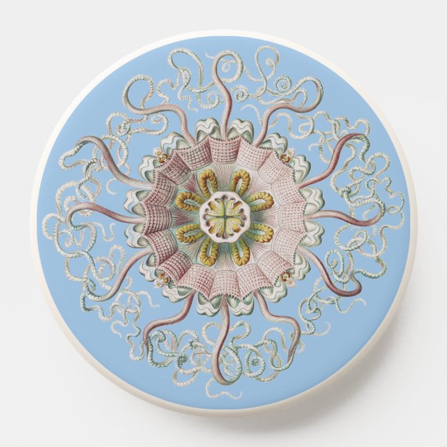 Ernst Haeckel Nautical Pink Jellyfish Medusa PopSocket (Popsocket)