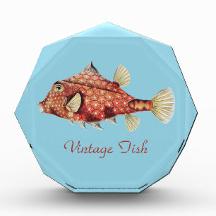 Ernst Haeckel Nautical Red Boxfish Sea Life Acrylic Award