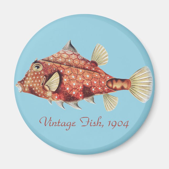 Ernst Haeckel Nautical Red Boxfish Sea Life Magnet (Front)