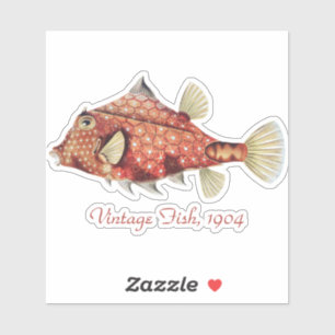 Ernst Haeckel Nautical Red Boxfish Sea Life Sticker