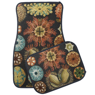 Ernst Haeckel Nautical Sea Life Art Collage Car Floor Mat