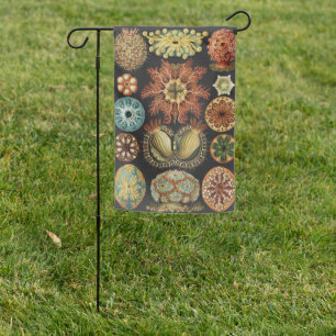 Ernst Haeckel Nautical Sea Life Art Collage Garden Flag