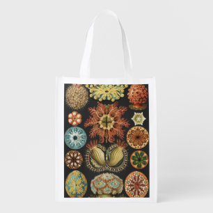 Ernst Haeckel Nautical Sea Life Art Collage Grocery Bag