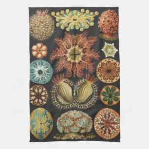 Ernst Haeckel Nautical Sea Life Art Collage Kitchen Towel