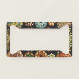 Ernst Haeckel Nautical Sea Life Art Collage License Plate Frame