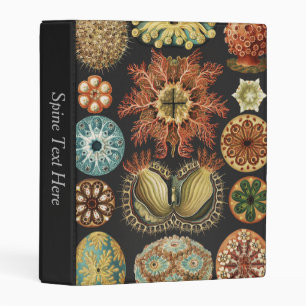 Ernst Haeckel Nautical Sea Life Art Collage Mini Binder