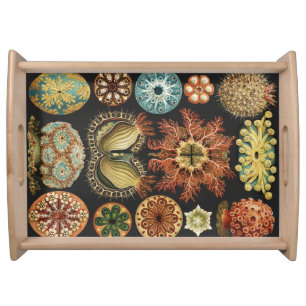 Ernst Haeckel Nautical Sea Life Art Collage Serving Tray