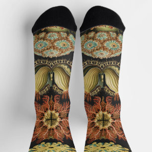 Ernst Haeckel Nautical Sea Life Art Collage Socks