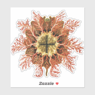 Ernst Haeckel Nautical Tunicate Red Sea Life Art Sticker