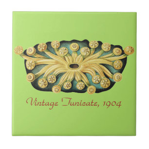 Ernst Haeckel Nautical Yellow Sunburst Art Ceramic Tile