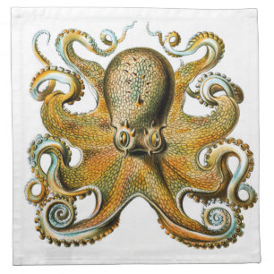 ernst haeckel octopus napkin
