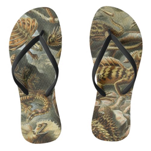 Ernst Haeckel old fashion illustration Lacertilia Flip Flops