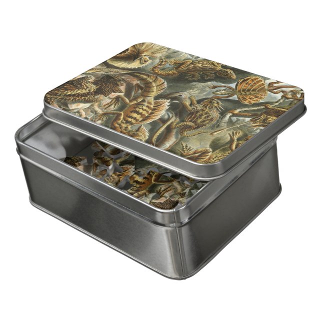 Ernst Haeckel old fashion illustration Lacertilia Jigsaw Puzzle (Lid Open)