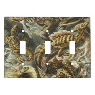 Ernst Haeckel old fashion illustration Lacertilia Light Switch Cover
