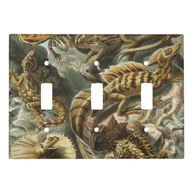 Ernst Haeckel old fashion illustration Lacertilia Light Switch Cover (Front)