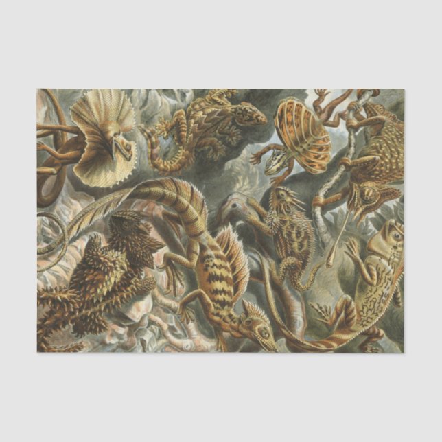 Ernst Haeckel old fashion illustration Lacertilia Tissue Paper (Front)