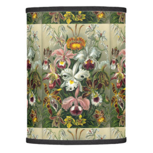 Ernst Haeckel Orchid - Art Forms of Nature Lamp Shade