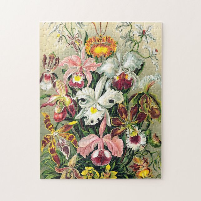 Ernst Haeckel - Orchids Jigsaw Puzzle (Vertical)