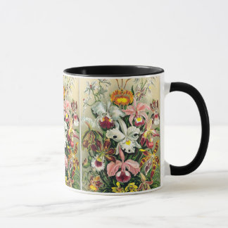 Ernst Haeckel - Orchids Mug
